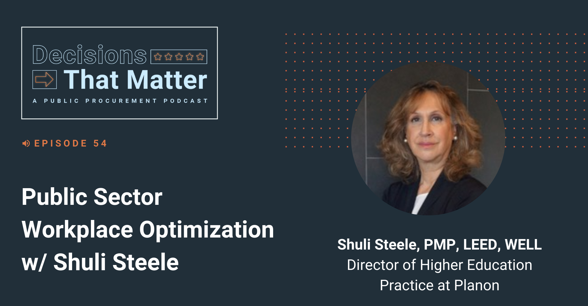 Ep. 54 - Public Sector Workplace Optimization with Shuli Steele