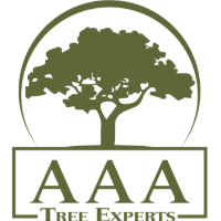 AAA TREE EXPERTS | View Supplier Reviews on Procurated